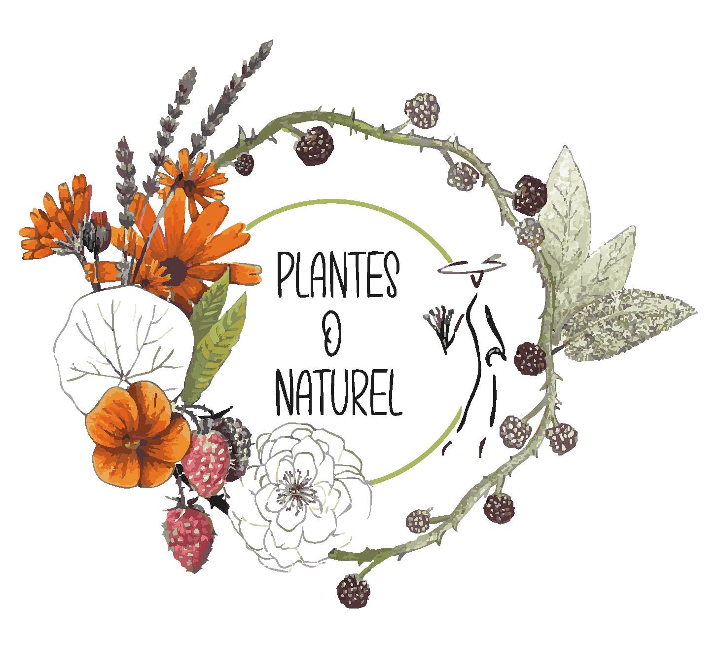 Plantes O Naturel